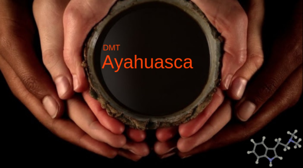 Ayahuasca