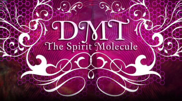 venta de DMT