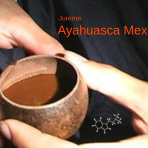 venta de ayahuasca mexicana